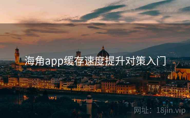 海角app缓存速度提升对策入门