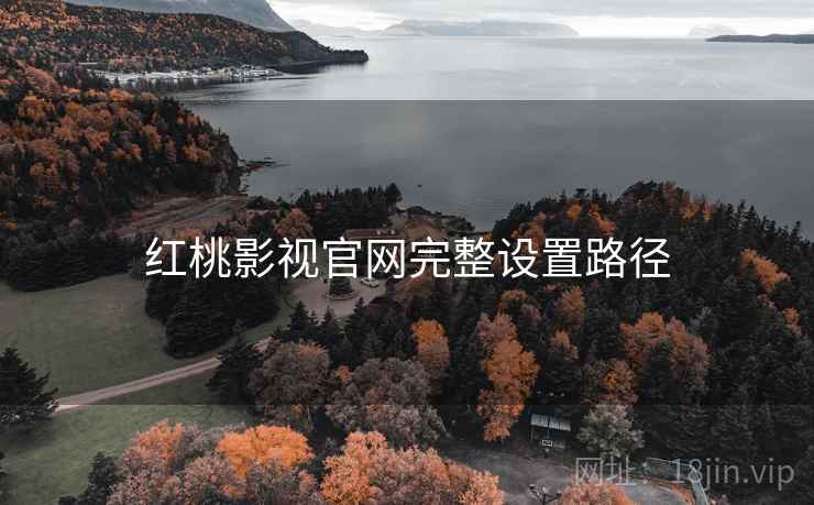 红桃影视官网完整设置路径