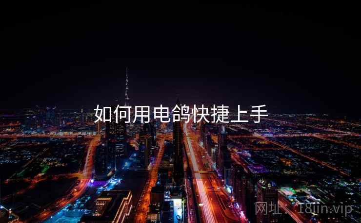如何用电鸽快捷上手