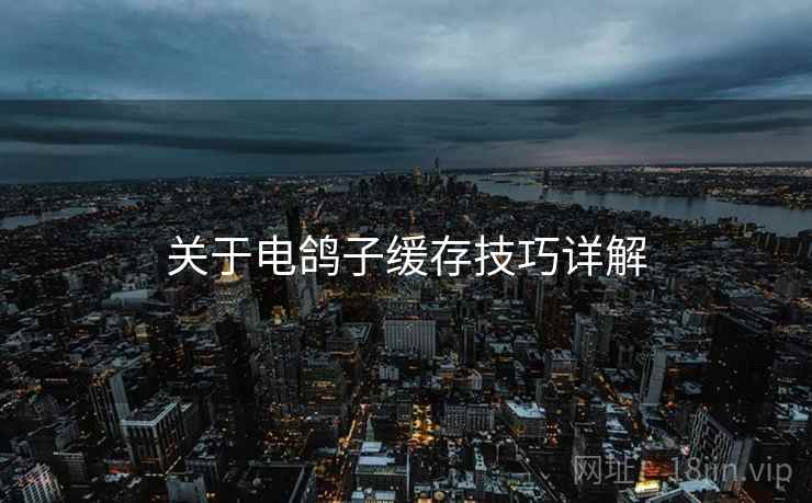 关于电鸽子缓存技巧详解