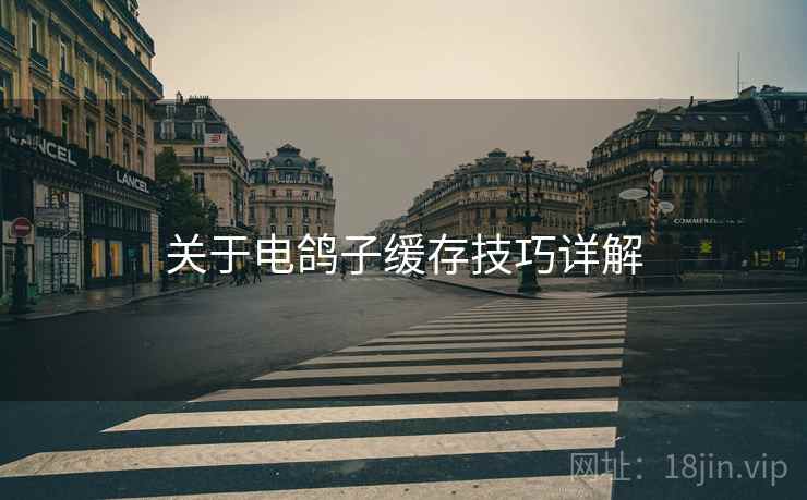 关于电鸽子缓存技巧详解