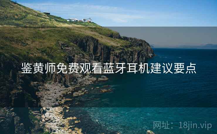 鉴黄师免费观看蓝牙耳机建议要点