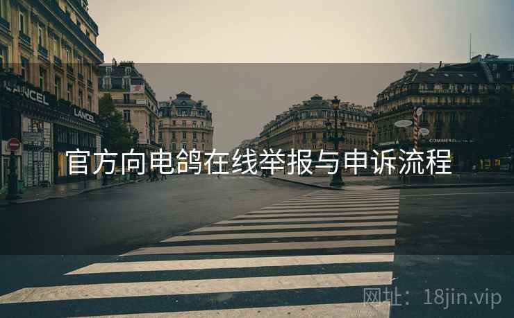 官方向电鸽在线举报与申诉流程