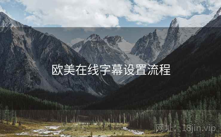 欧美在线字幕设置流程
