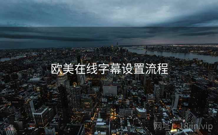 欧美在线字幕设置流程