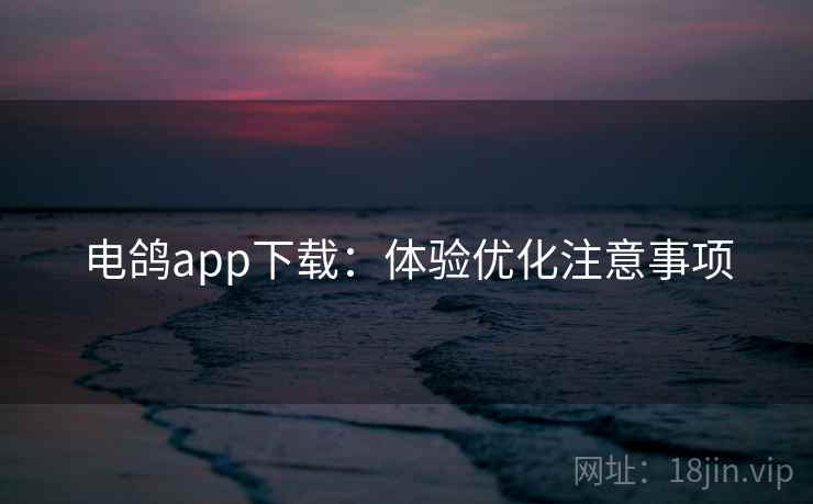 电鸽app下载：体验优化注意事项