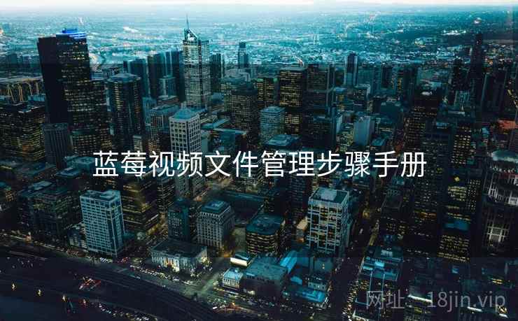 蓝莓视频文件管理步骤手册