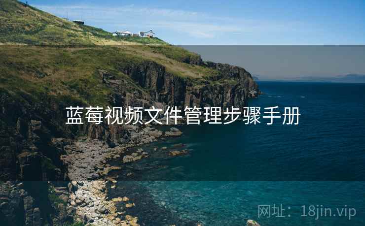 蓝莓视频文件管理步骤手册