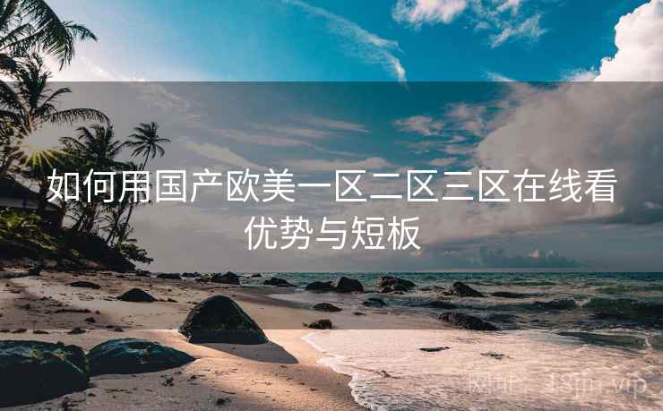 如何用国产欧美一区二区三区在线看优势与短板