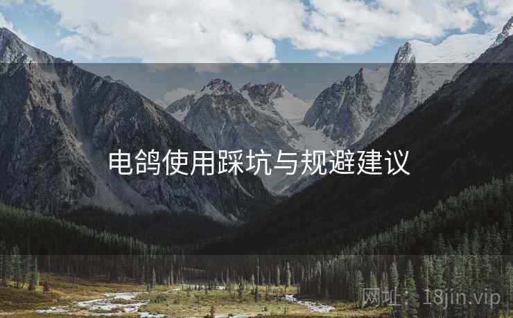 电鸽使用踩坑与规避建议 电鸽使用踩坑与规避建议