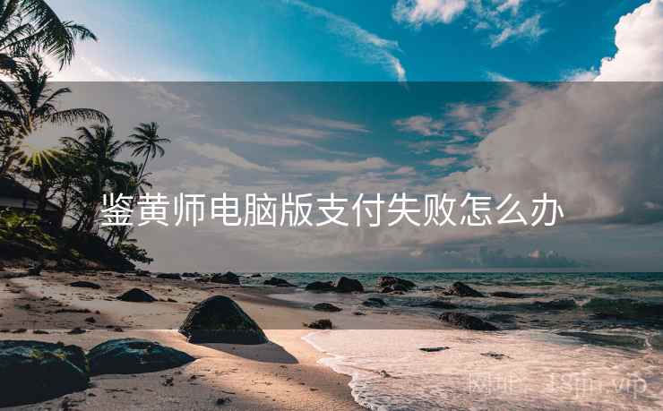 鉴黄师电脑版支付失败怎么办