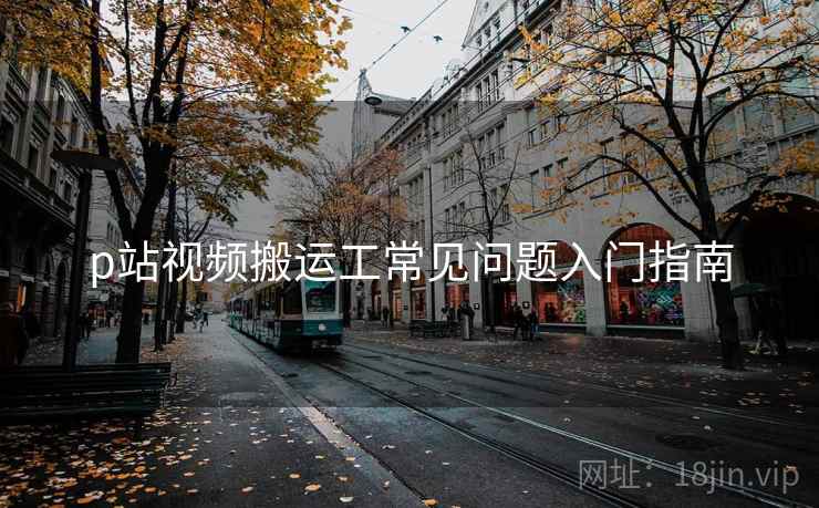 p站视频搬运工常见问题入门指南