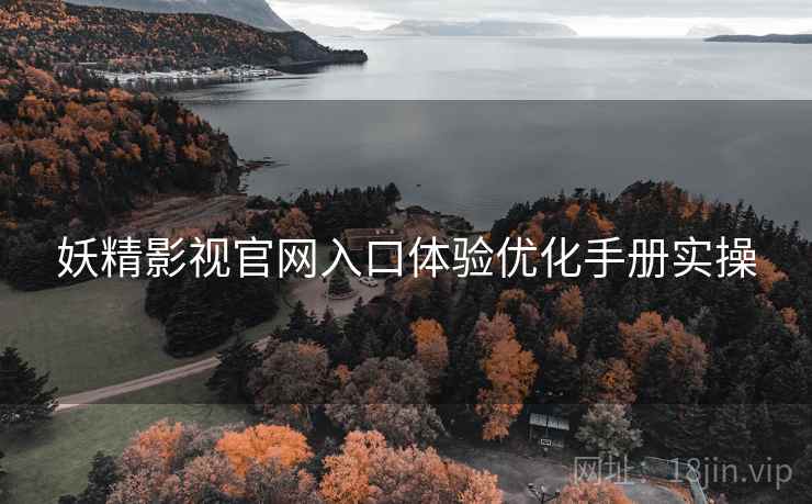 妖精影视官网入口体验优化手册实操