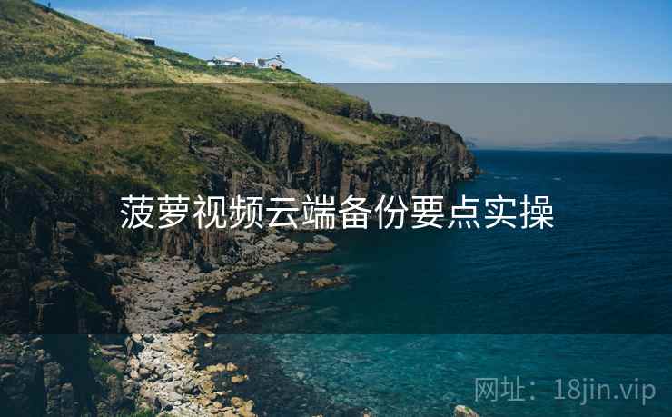 菠萝视频云端备份要点实操