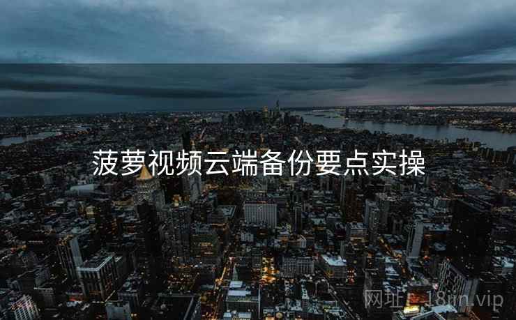 菠萝视频云端备份要点实操