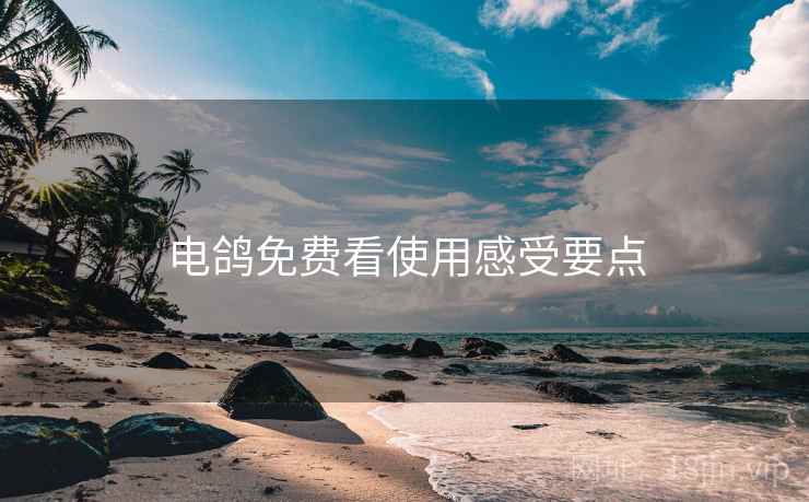 电鸽免费看使用感受要点
