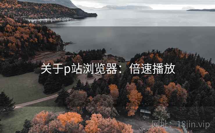 关于p站浏览器：倍速播放