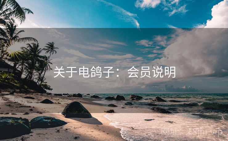 关于电鸽子：会员说明