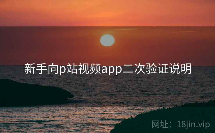 新手向p站视频app二次验证说明