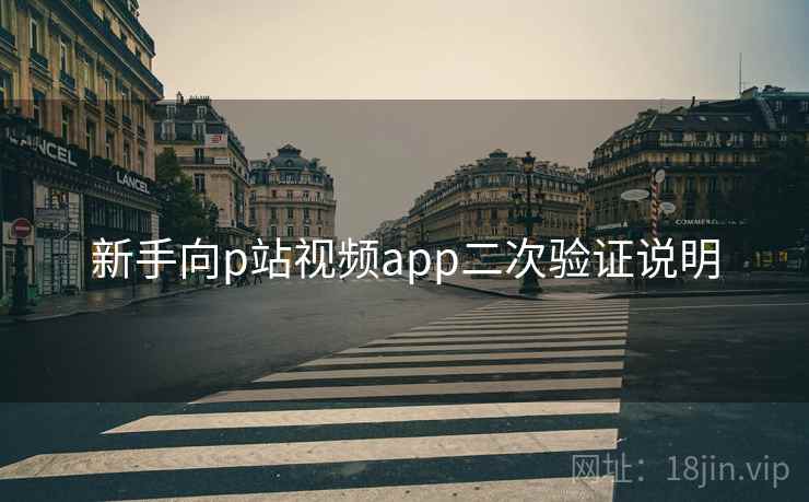 新手向p站视频app二次验证说明
