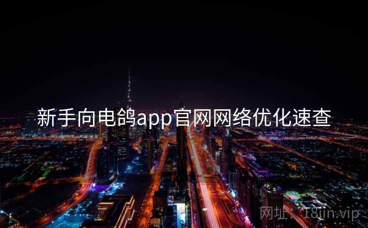 新手向电鸽app官网网络优化速查