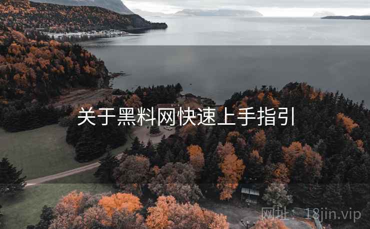 关于黑料网快速上手指引